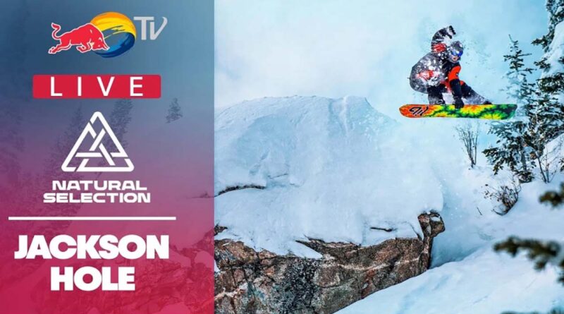 Natural Selectoin Tour Jackson Hole
